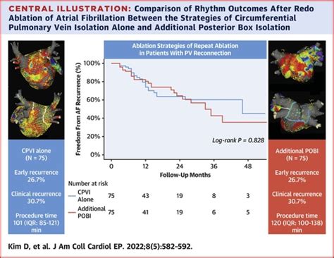 electrical posterior box isolation in repeat abation|Electrical Posterior Box Isolation in Persistent Atrial Fibrillation .